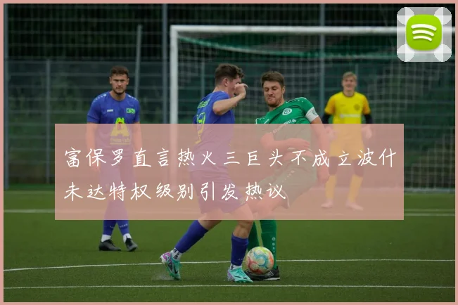 富保罗直言热火三巨头不成立波什未达特权级别引发热议